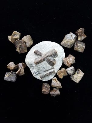 Staurolite-crystals in Naples FL at Altered Elements Store