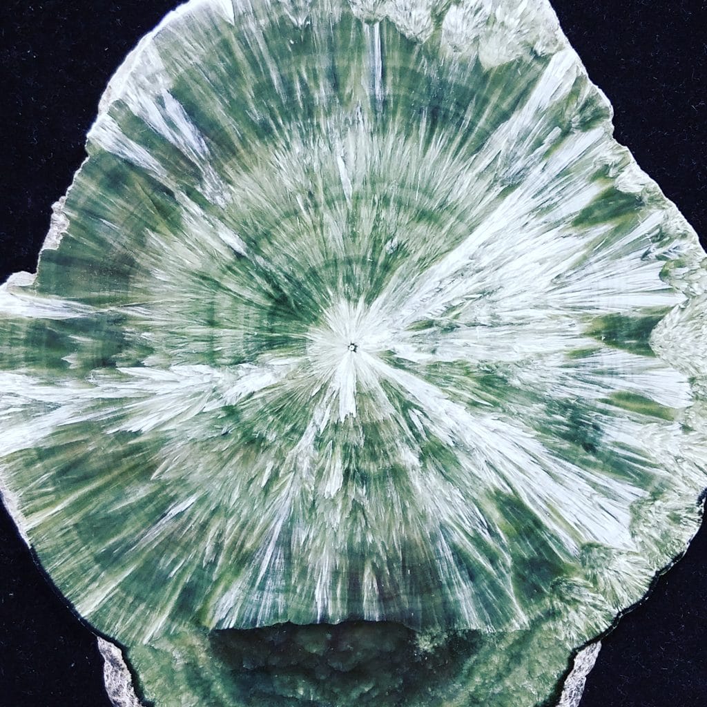 Seraphinite crystal in Naples FL at Altered Elements Store.