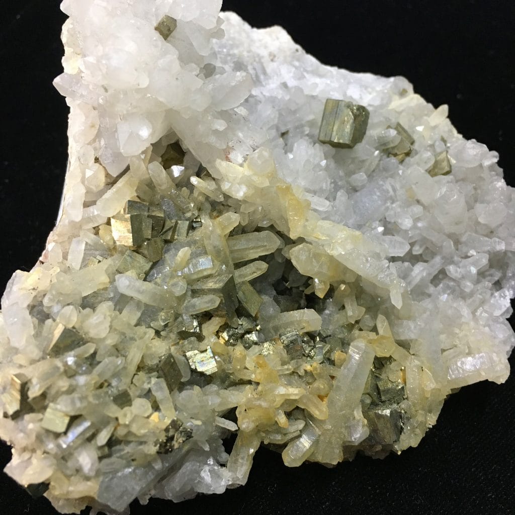 Pyrite crystals in Naples FL at Altered Elements Store.